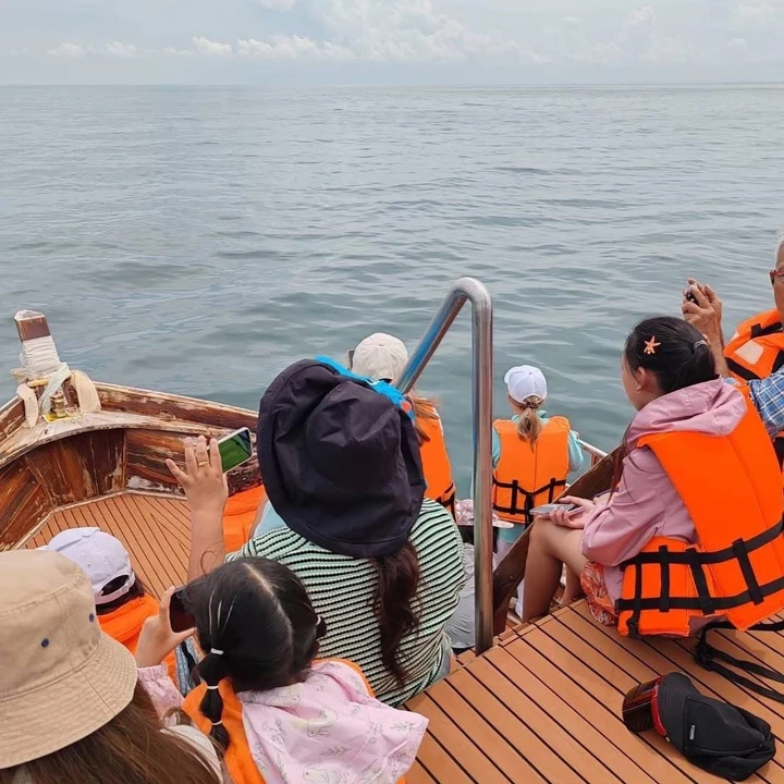 Bryde’s Whale Watching Photo Tour
