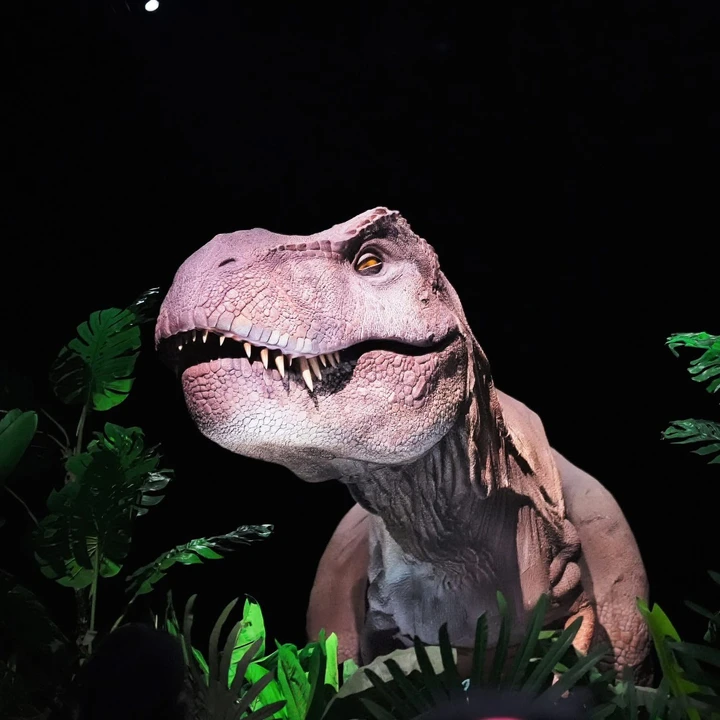 Jurassic Park and River Cruise