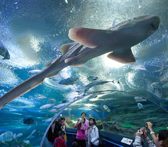 Underwater World Aquarium