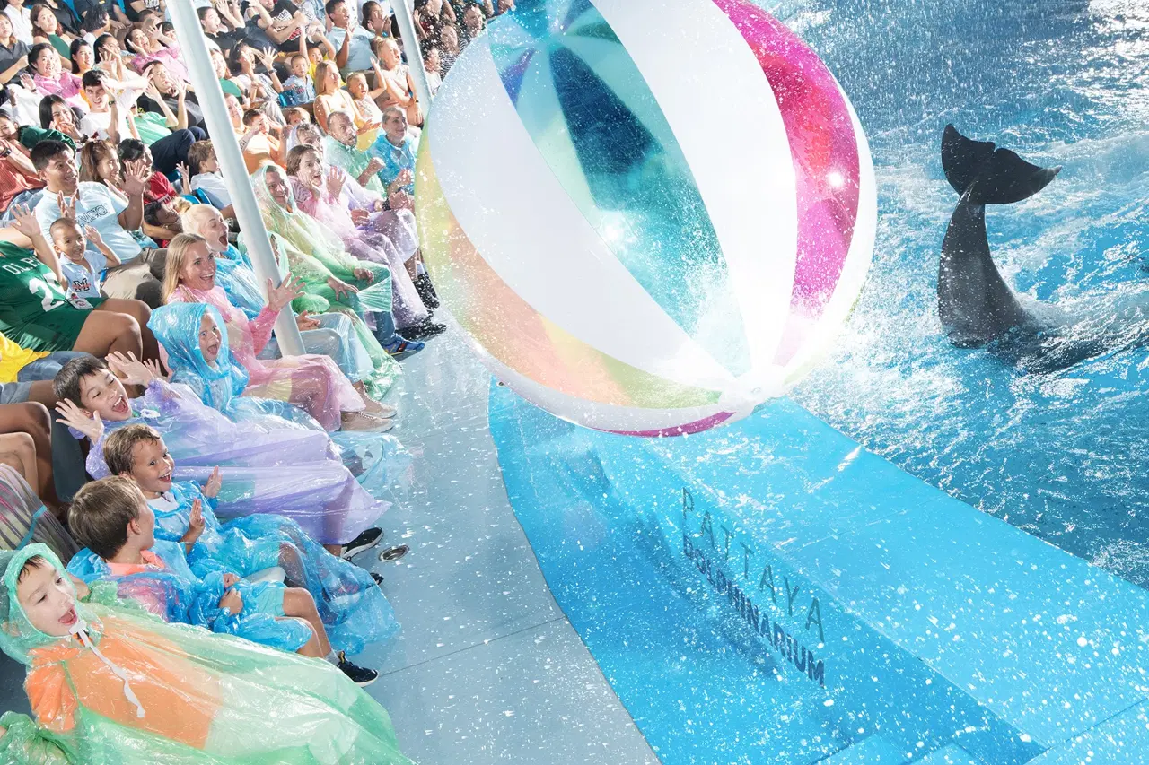 Pattaya Dolphinarium