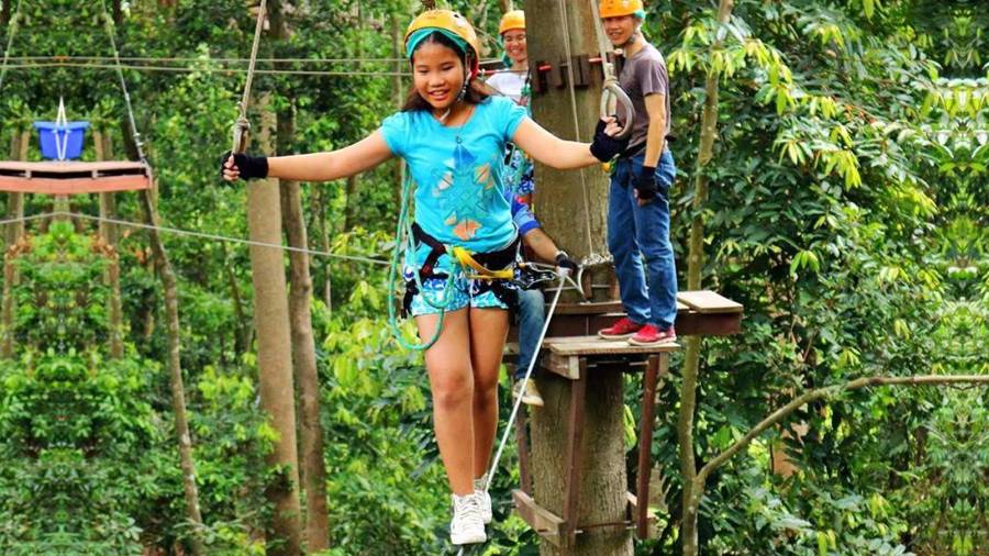 Tarzan Flight
