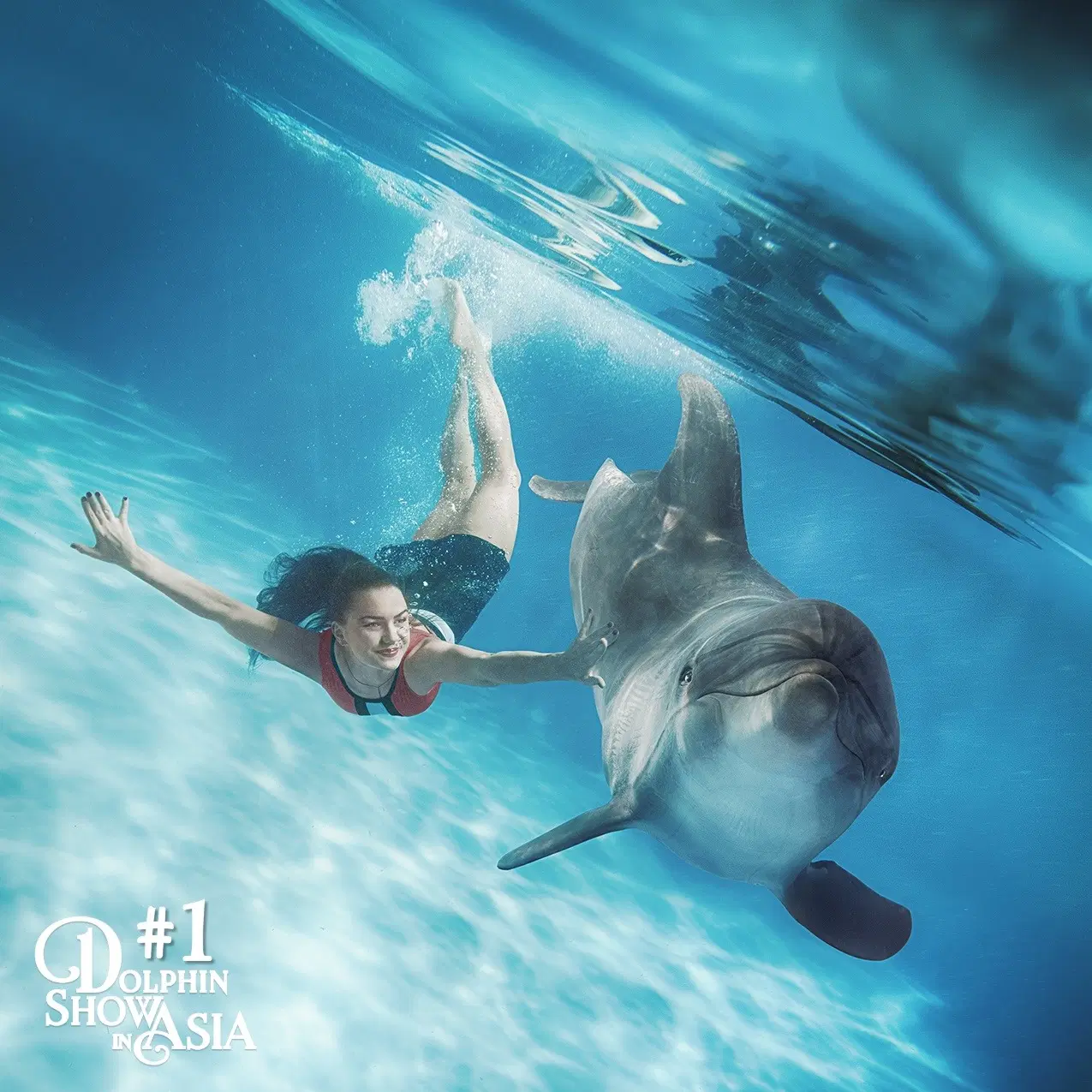 Pattaya Dolphinarium