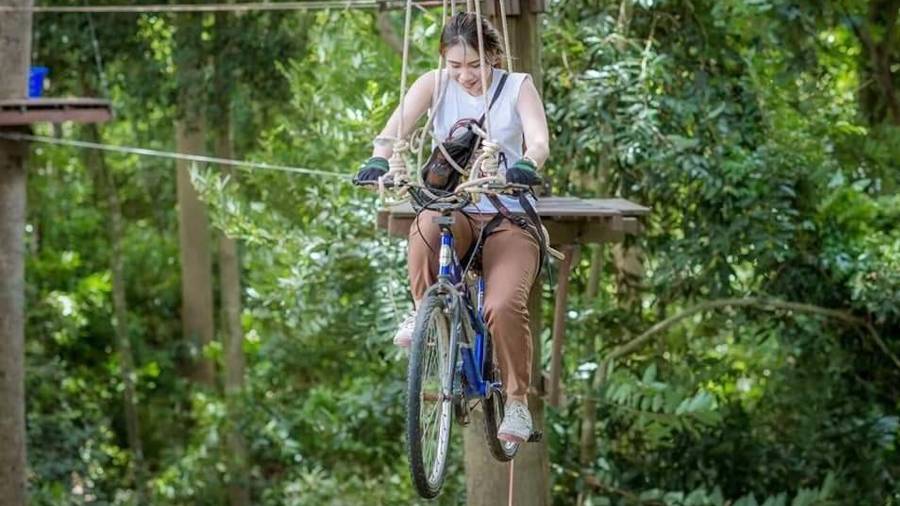 Tarzan Flight