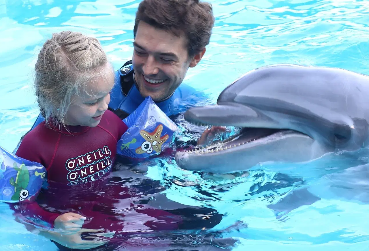 Pattaya Dolphinarium