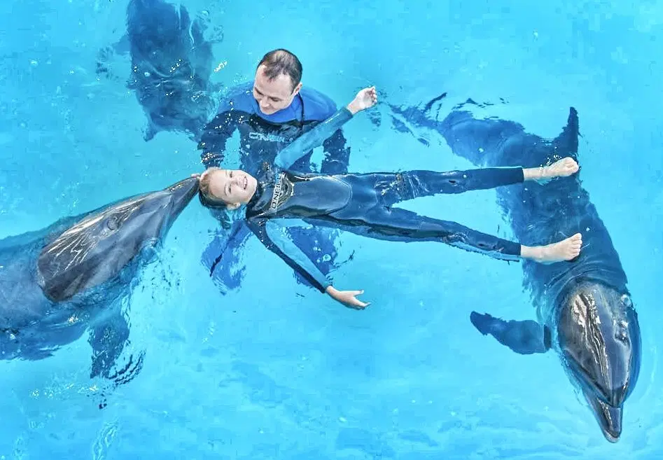 Pattaya Dolphinarium