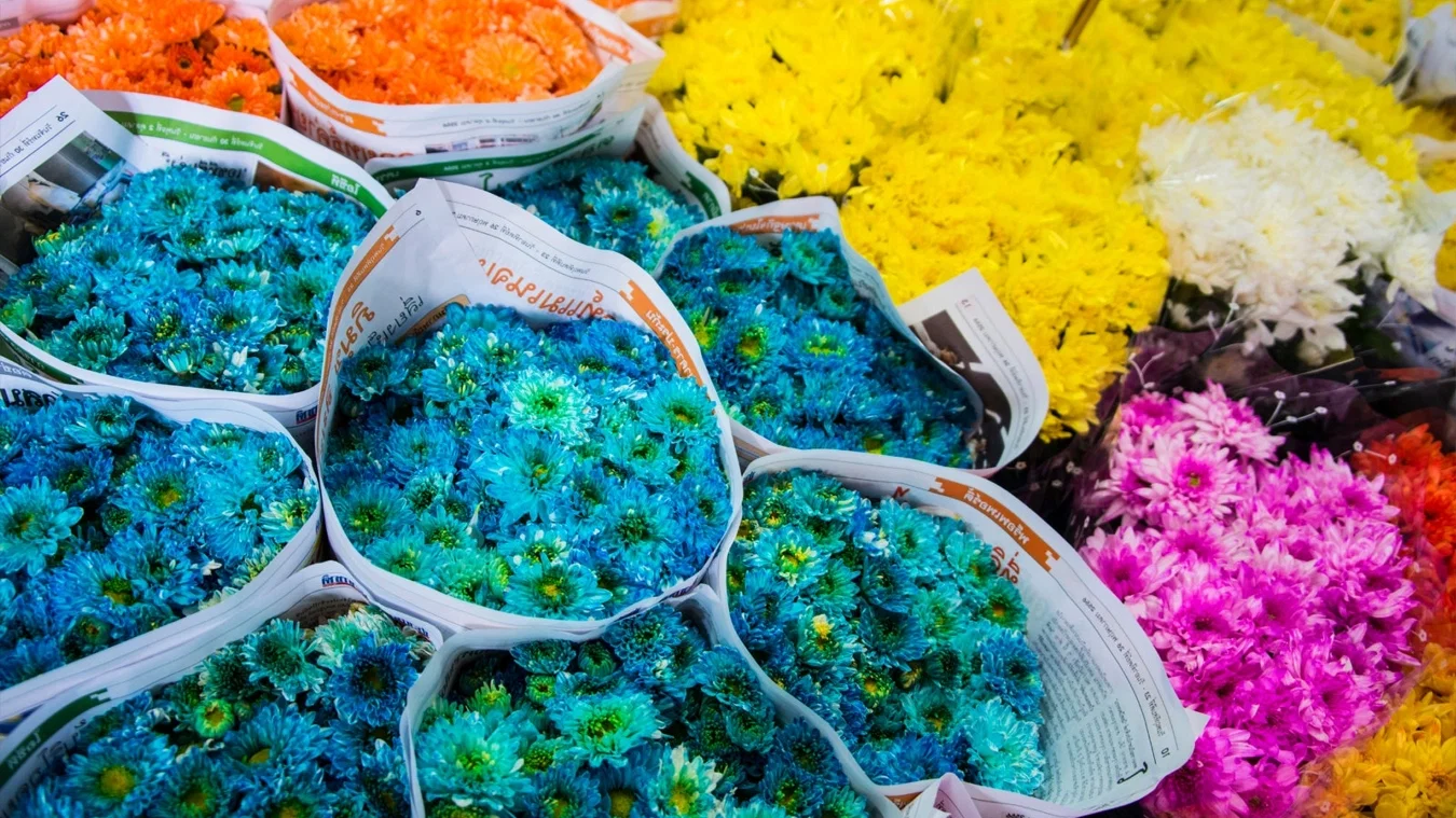 7 Secrets of Bangkok