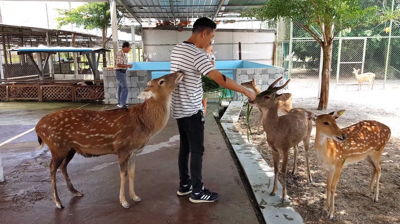 Animal World