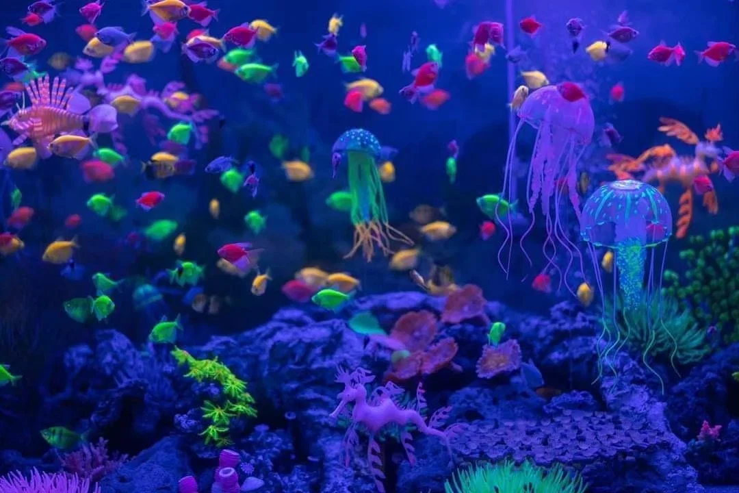 Animal World