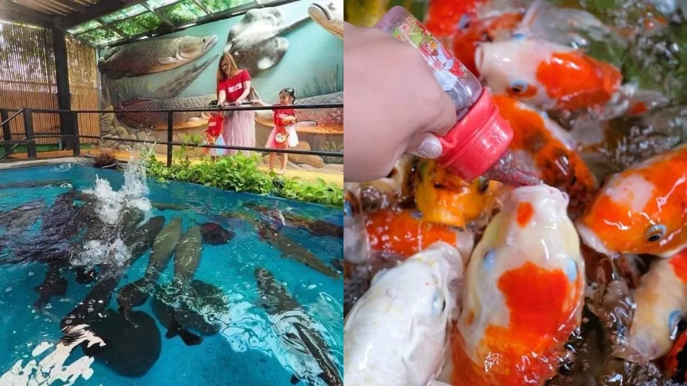 Animal World