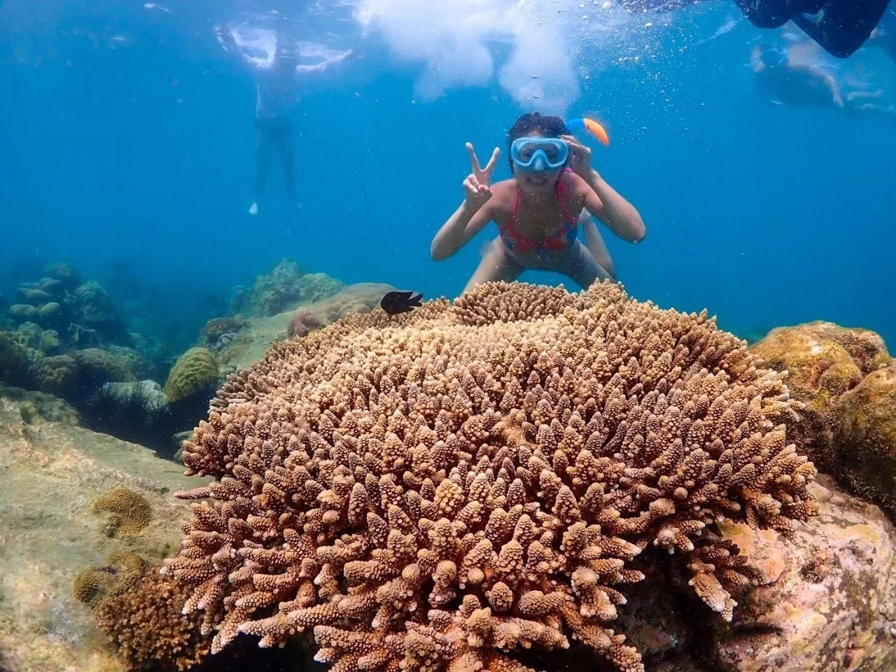 Underwater Odyssey