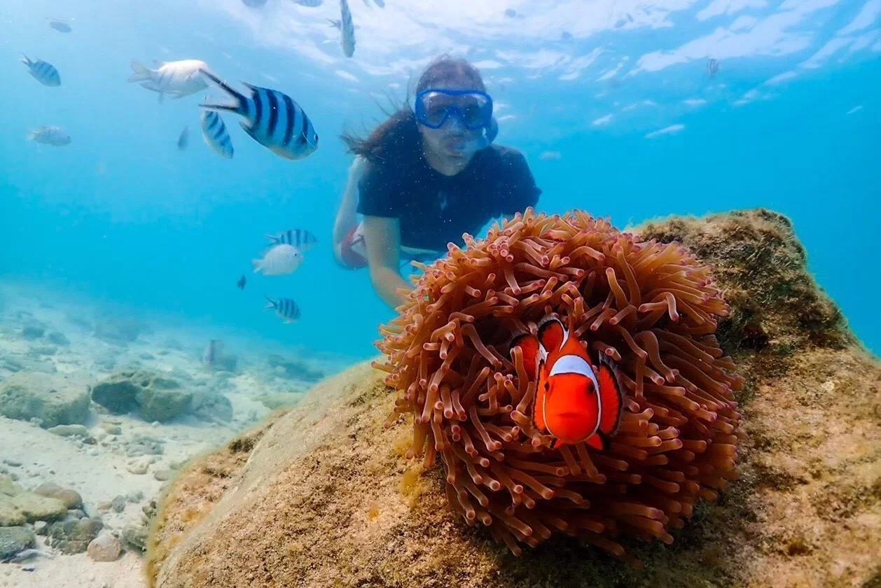 Underwater Odyssey