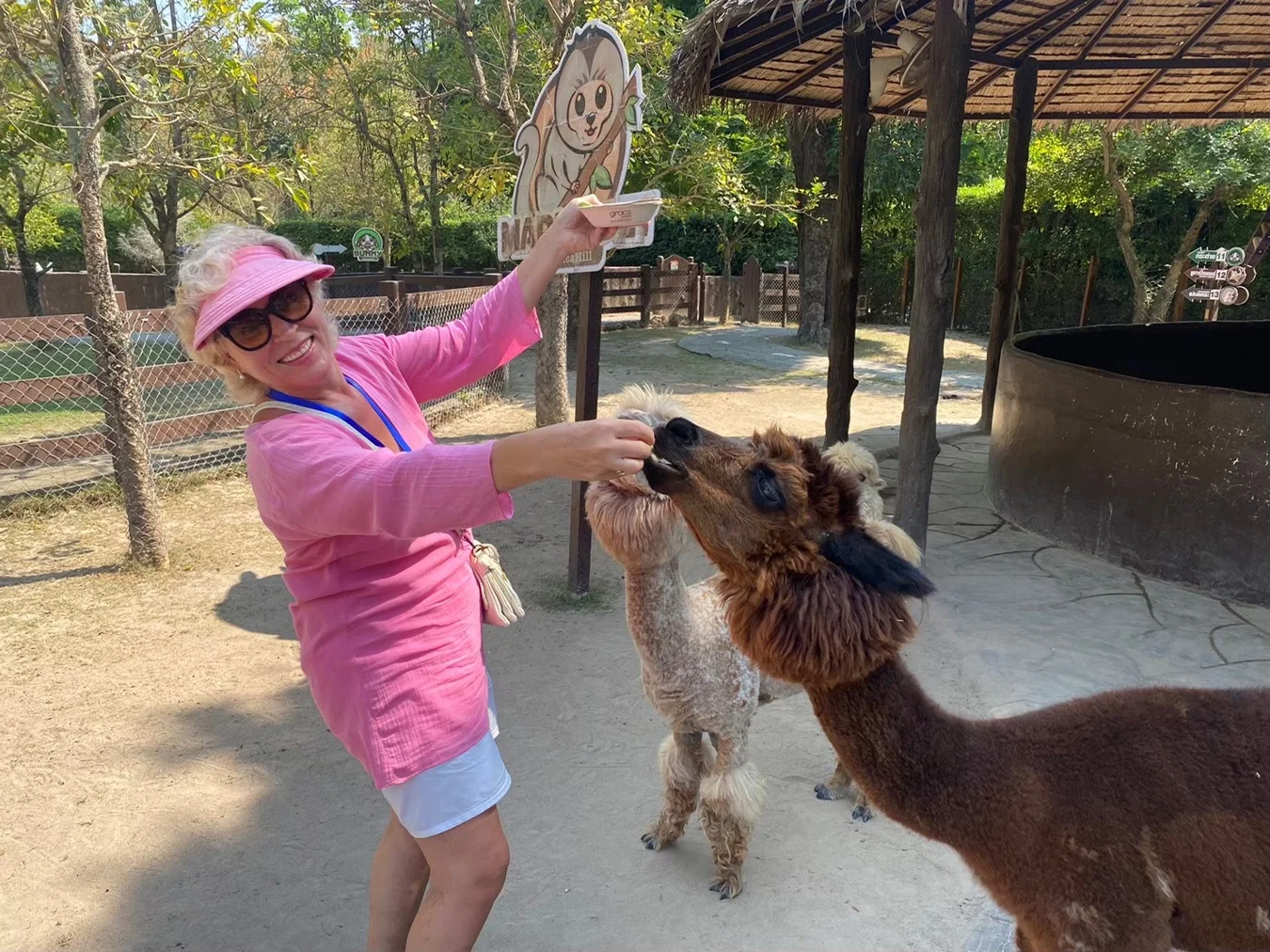 Alpaca Park