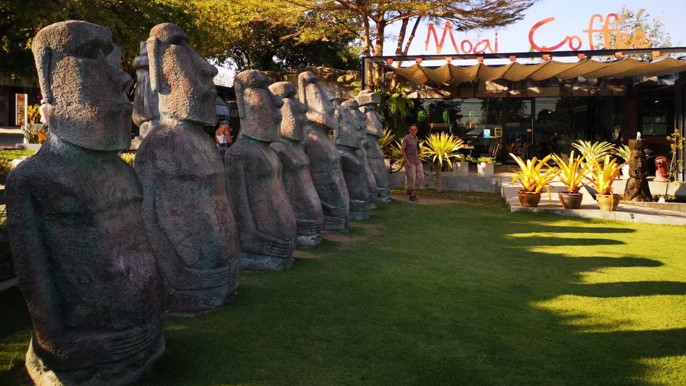 Alpaca Park