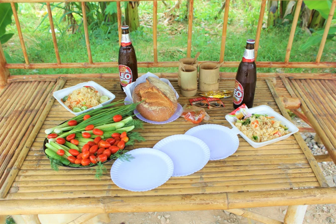 Lake Picnic & Beachfront Sunset Dinner