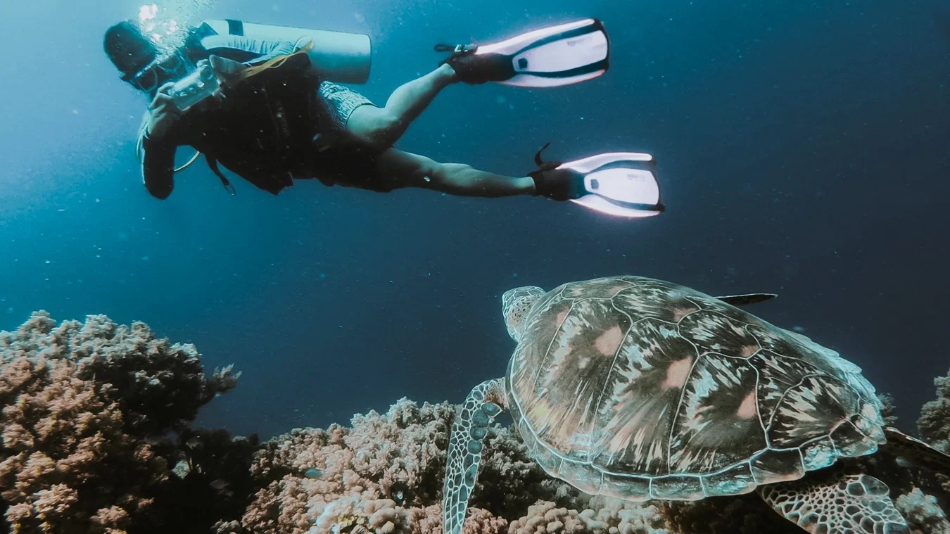 Diving