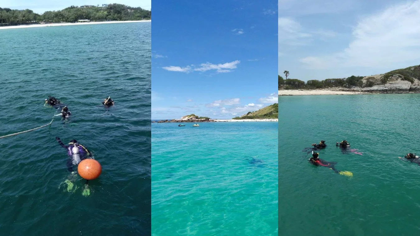Diving