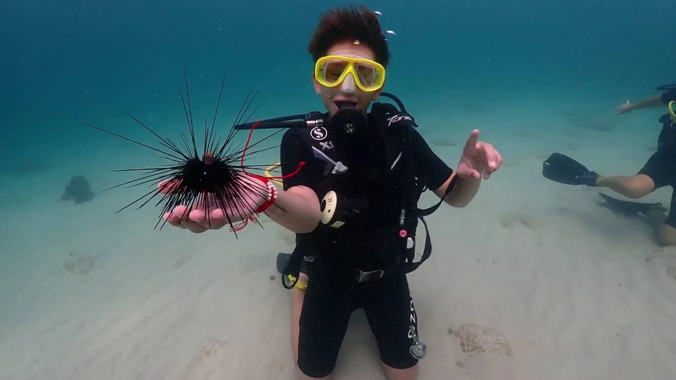Diving