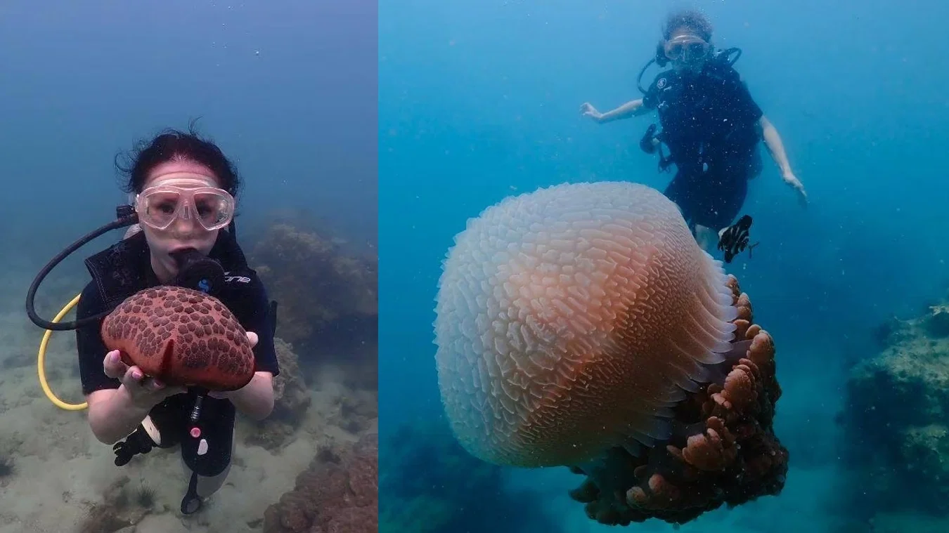 Diving