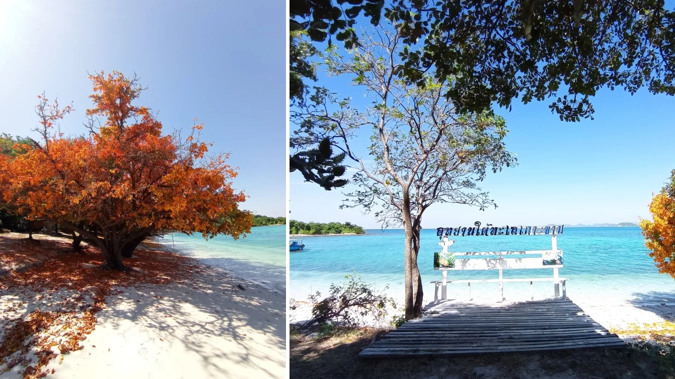 Emerald Island