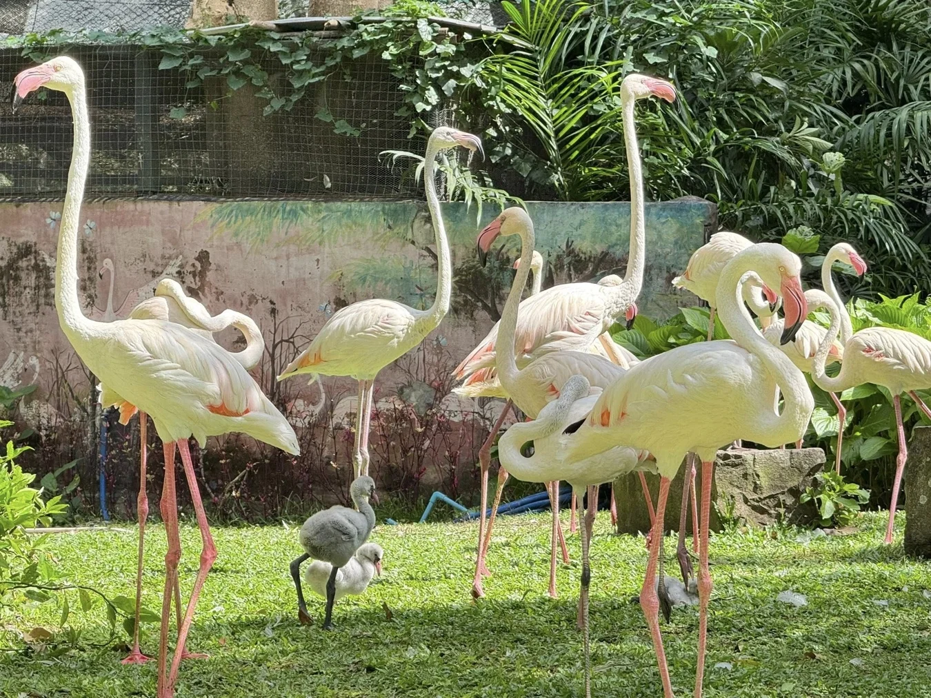 Khao Kheow Zoo