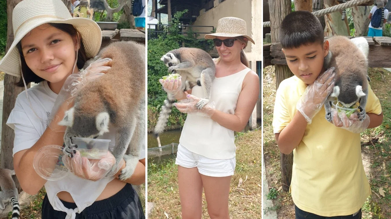 Khao Kheow Zoo with Lunch
