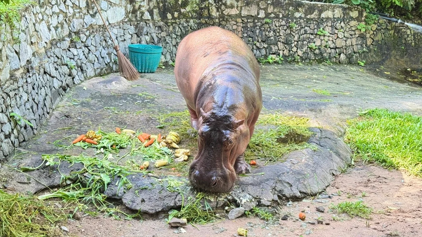Khao Kheow Zoo with Lunch