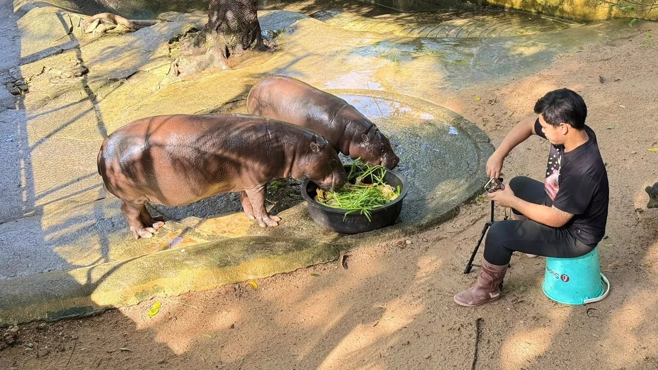 Khao Kheow Zoo with Lunch