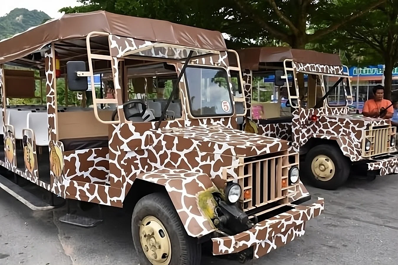 Khao Kheow Zoo with Lunch