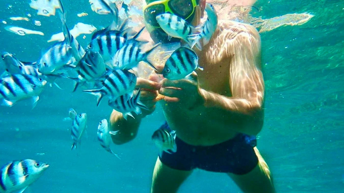 Koh Talu