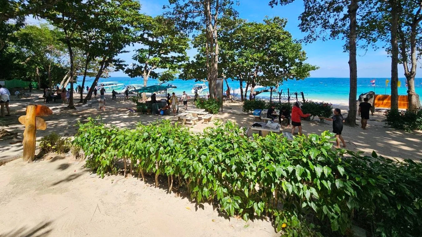 Koh Talu