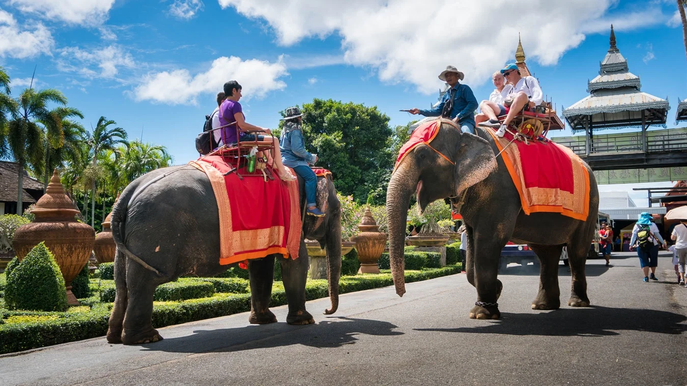 Evening at Nong Nooch