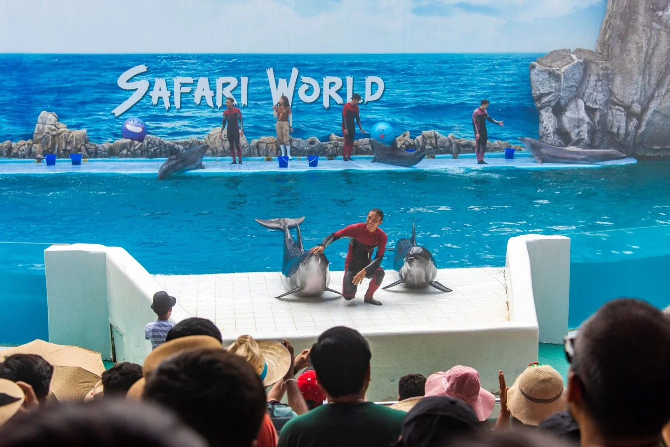 Safari Park
