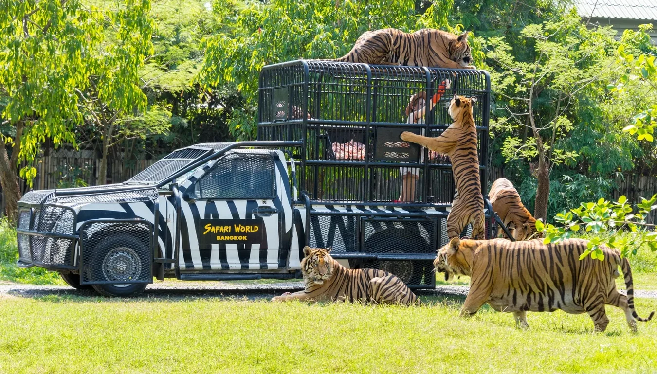 Safari Park