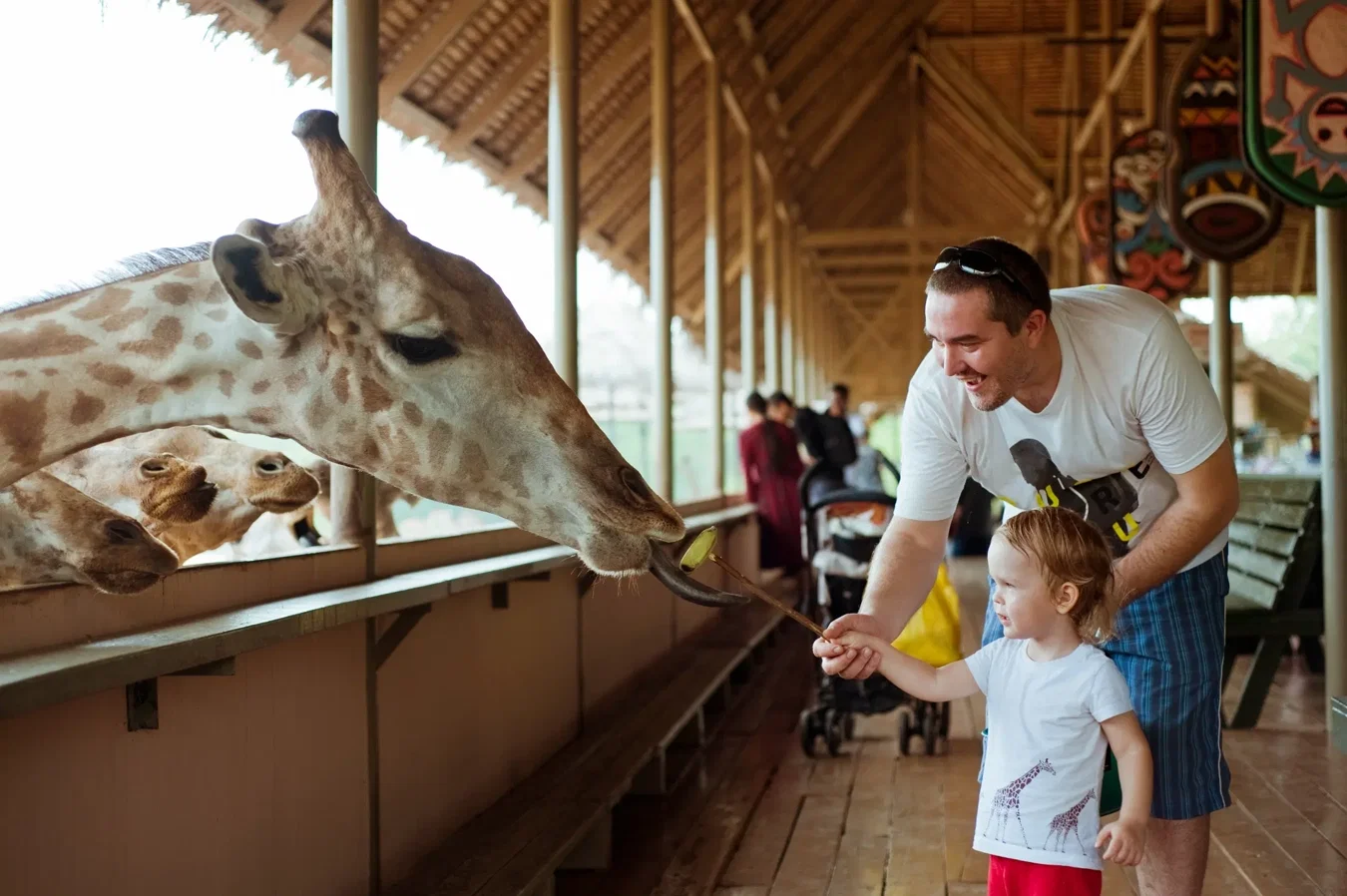 Safari Park