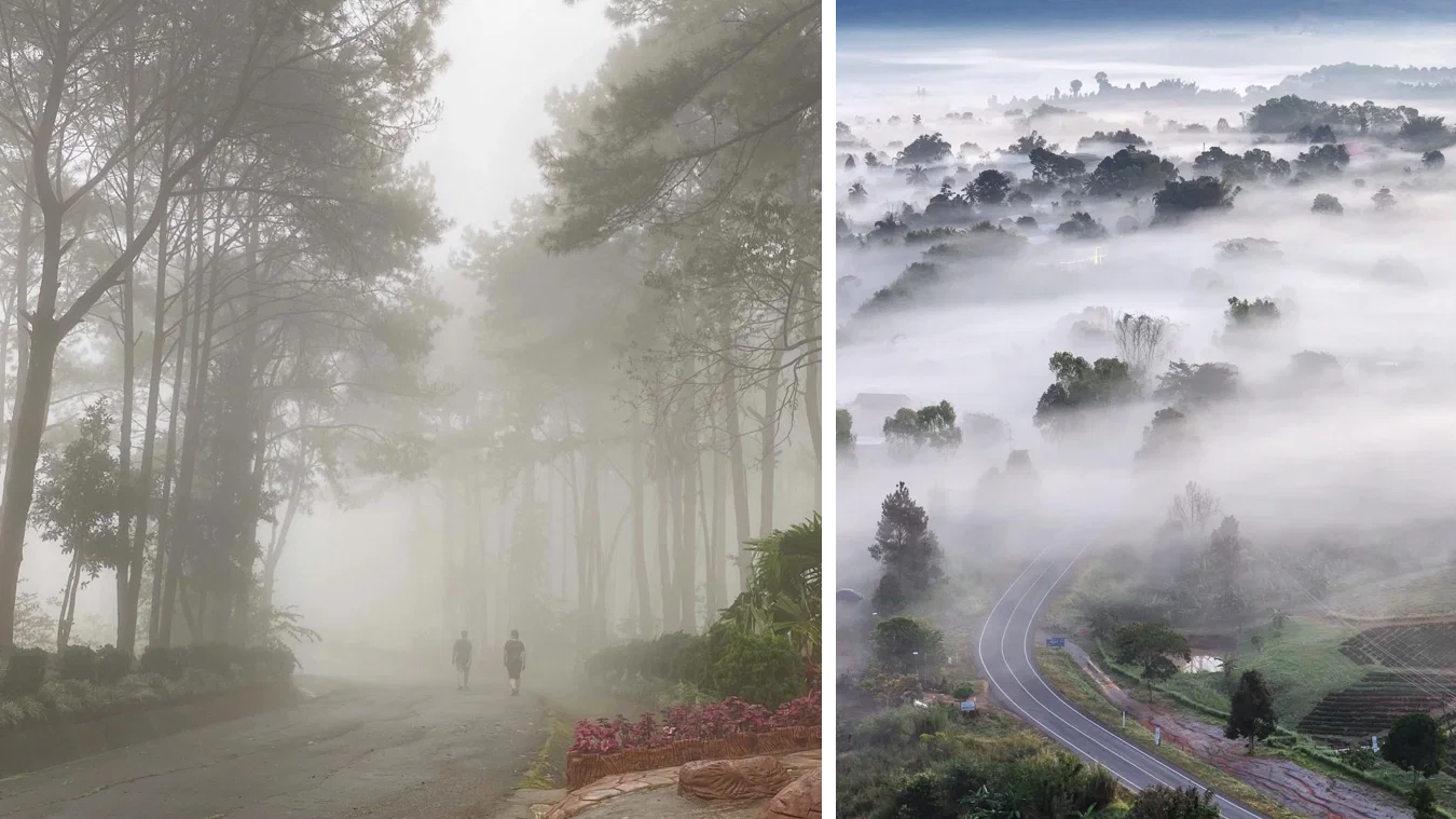 Above the Clouds