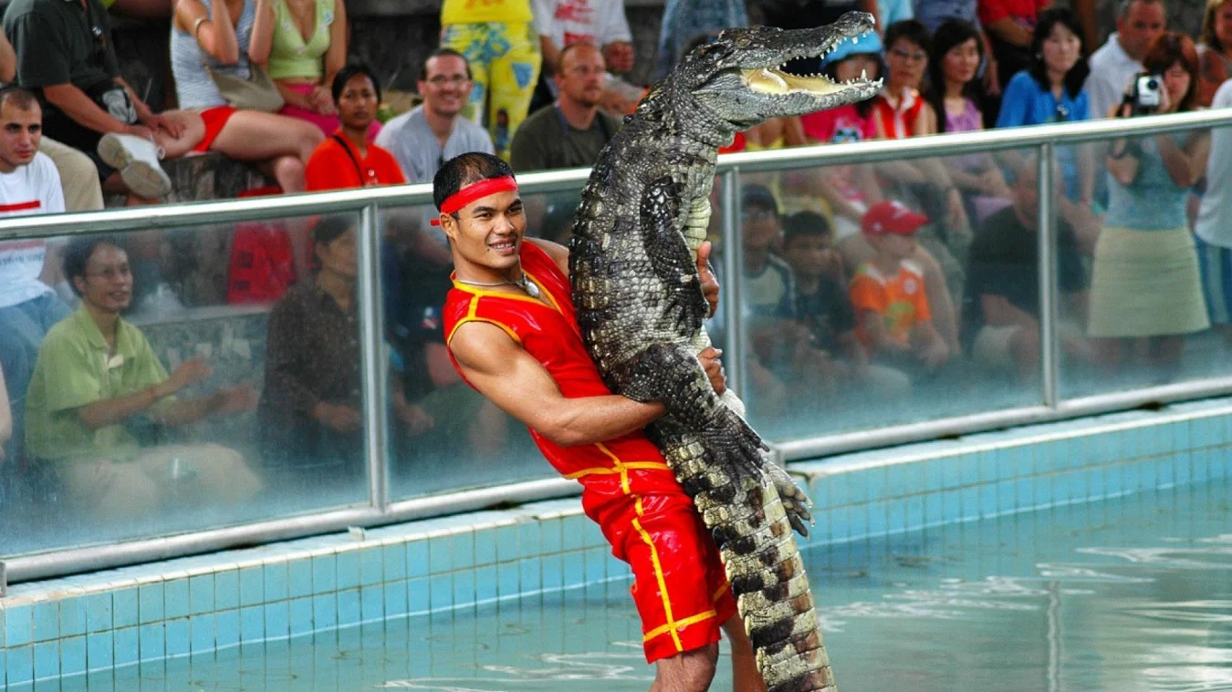 Crocodile Farm