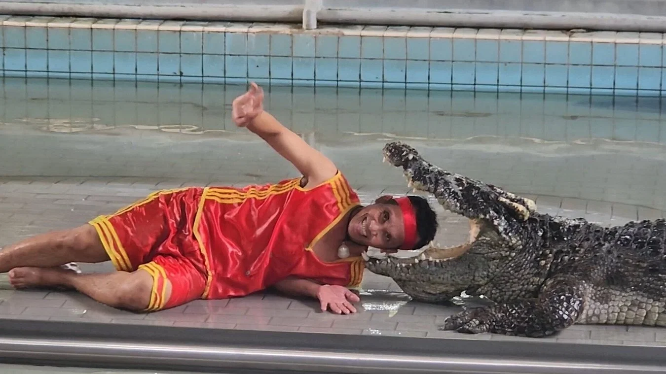 Crocodile Farm