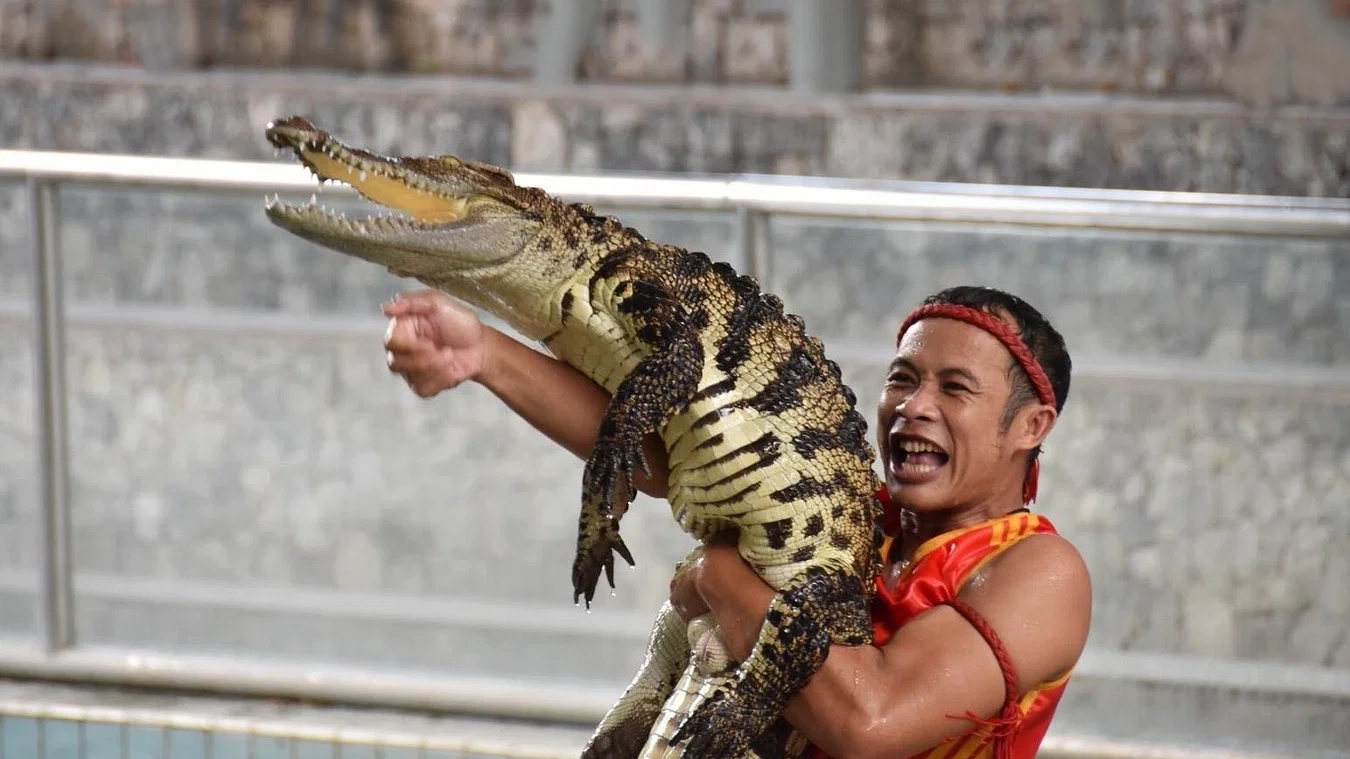 Crocodile Farm