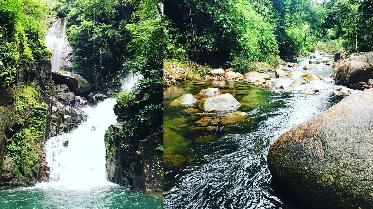 Lost World