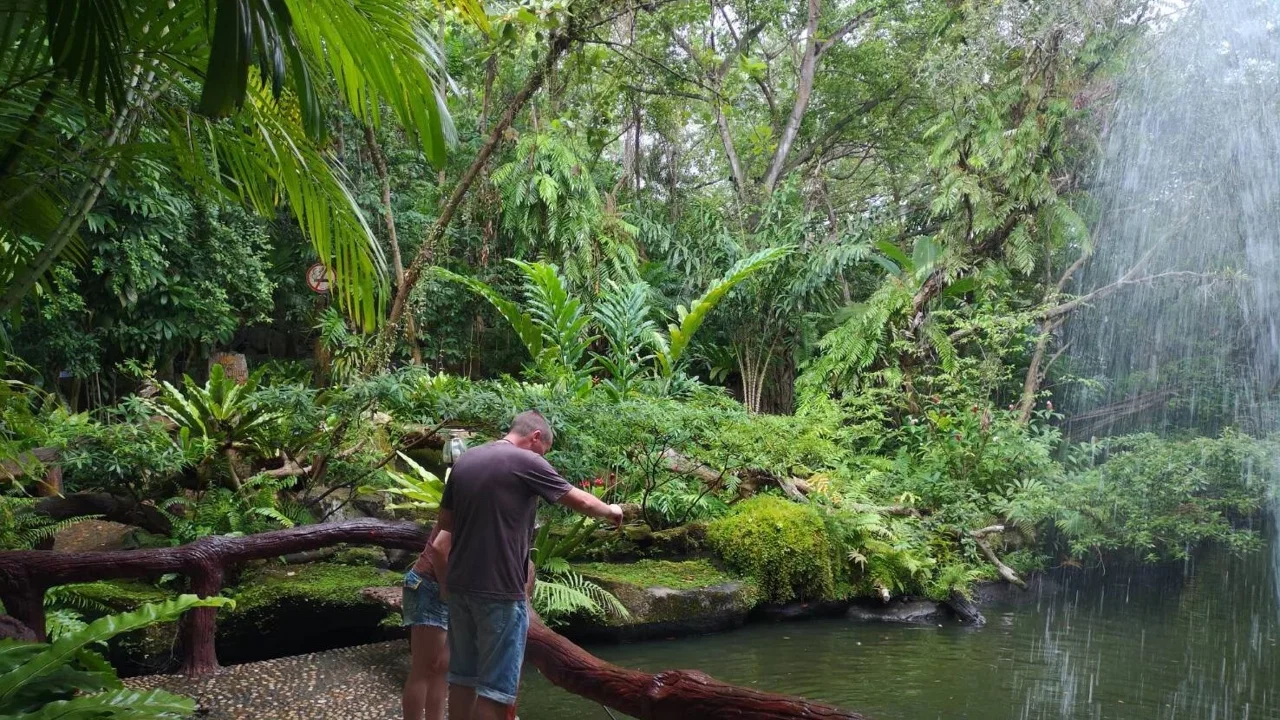 Lost World