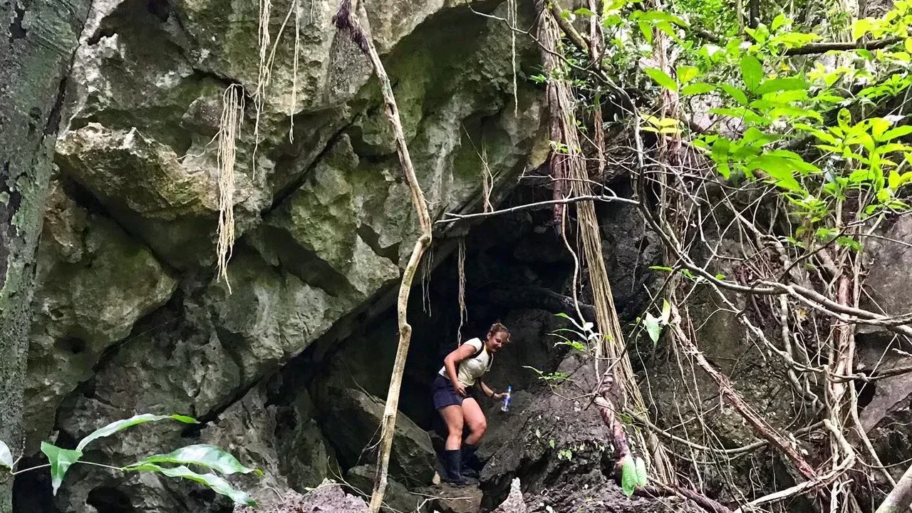 Lost World