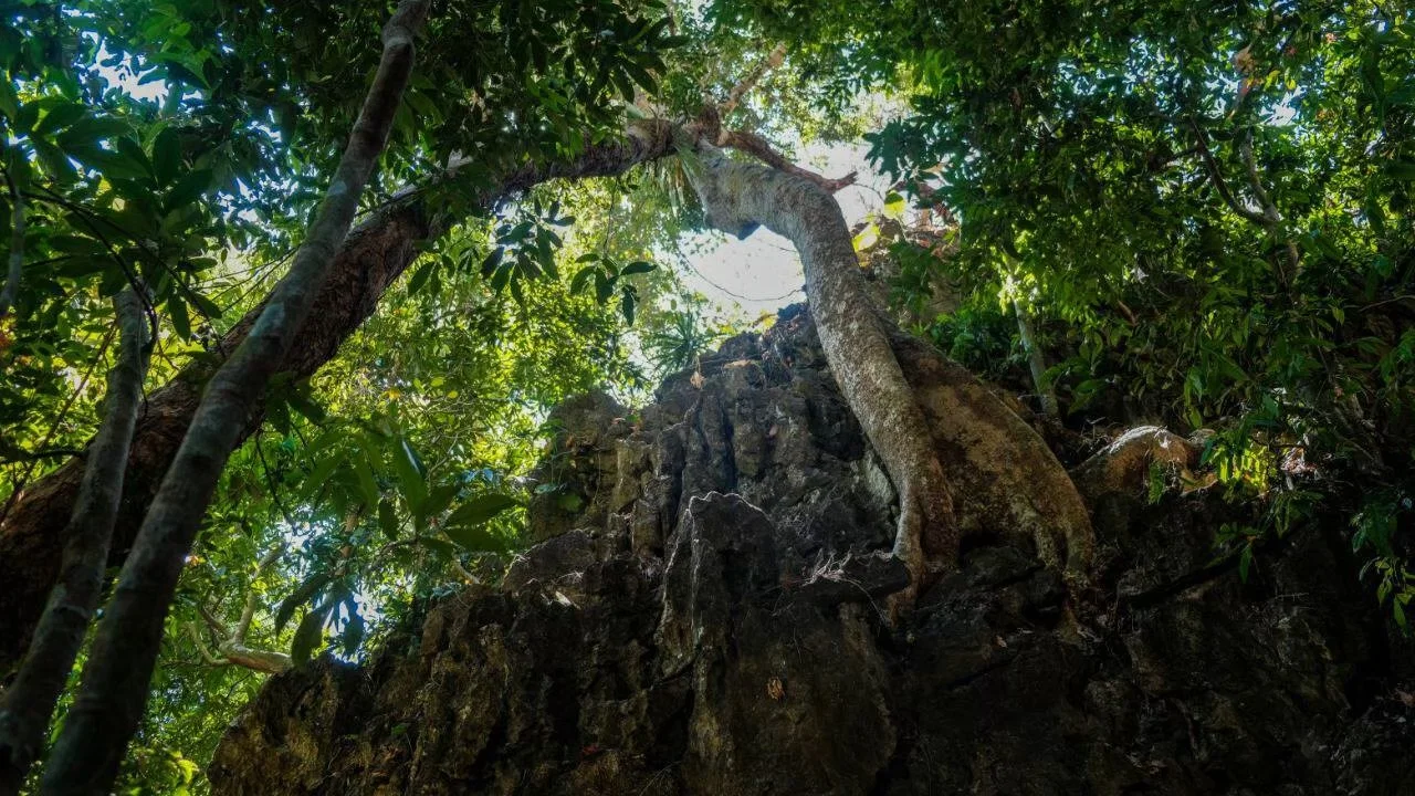 Lost World