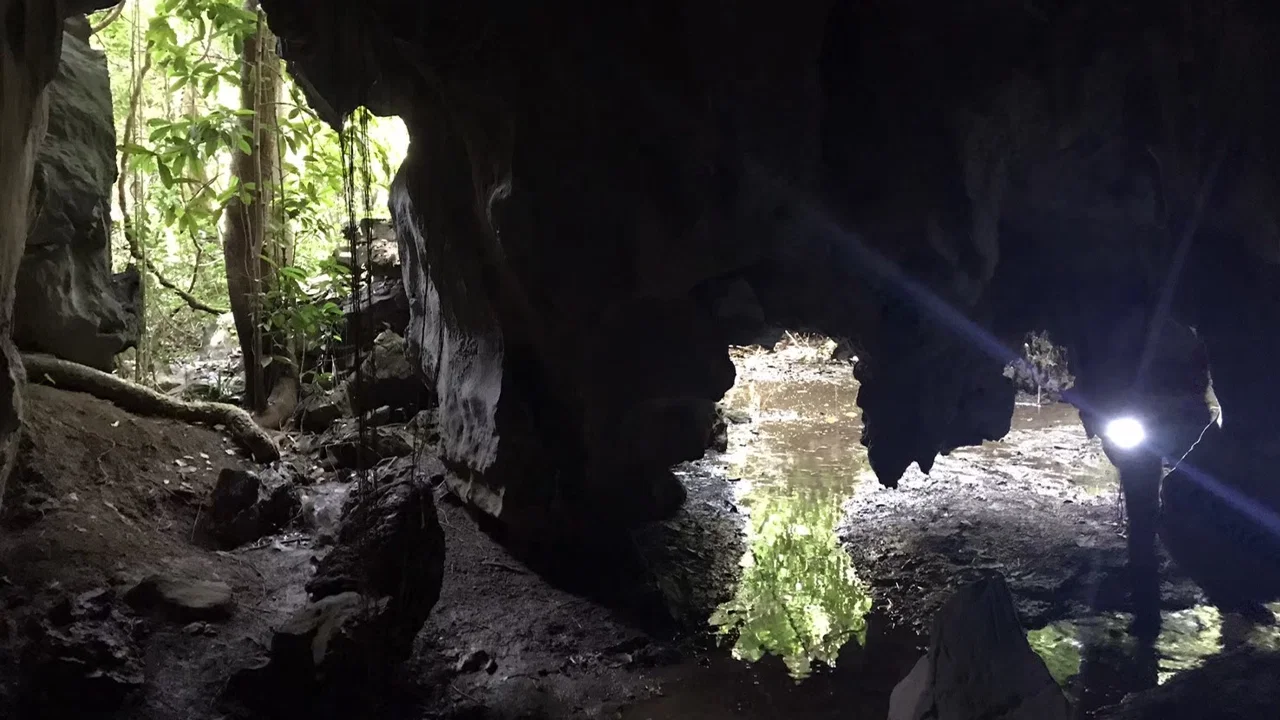 Lost World