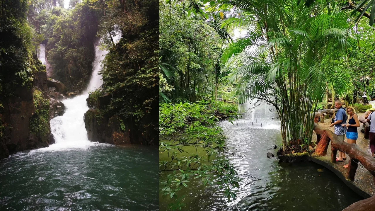 Lost World