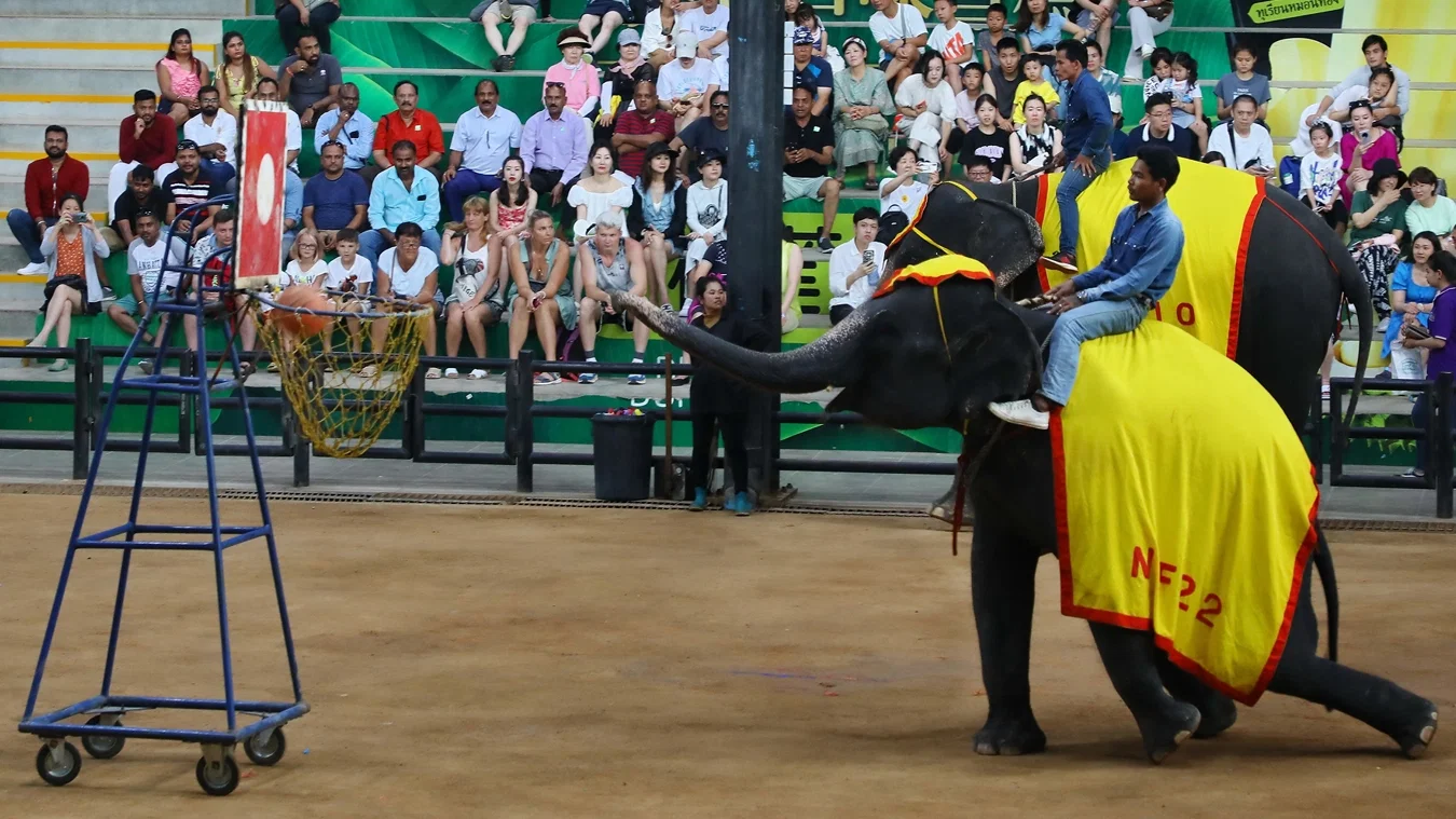Nong Nooch