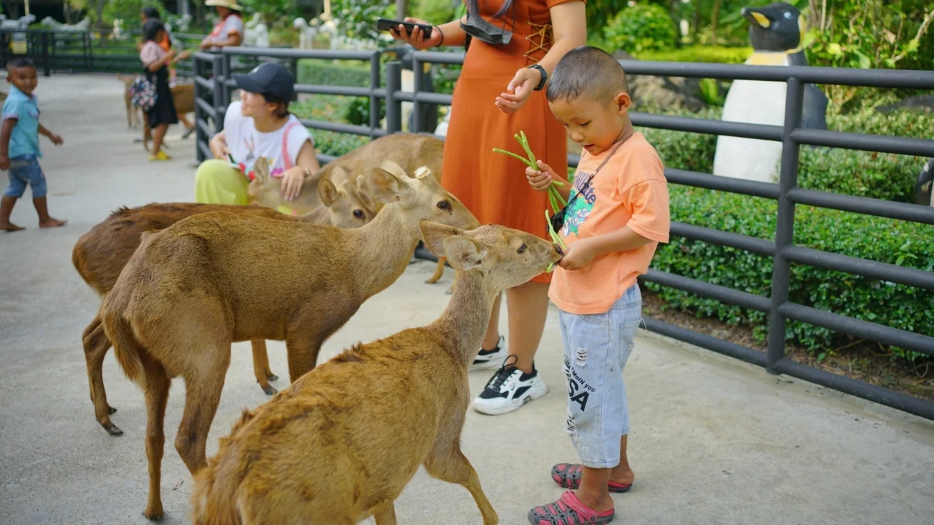 Nong Nooch