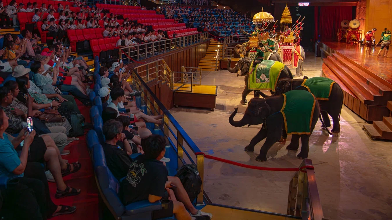 Nong Nooch