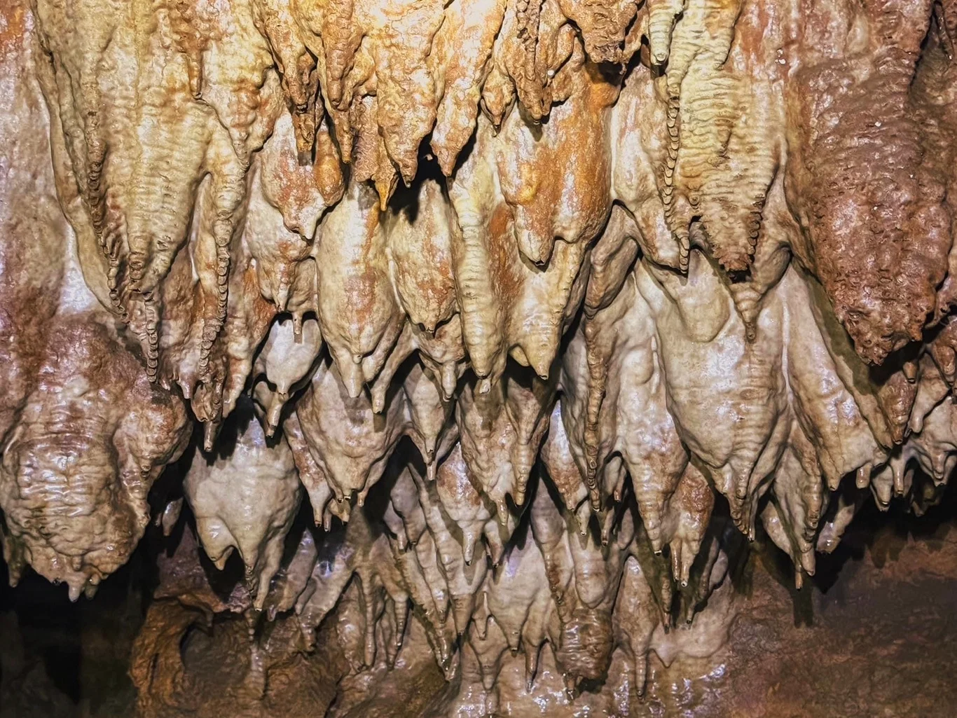 Treasures of Isan