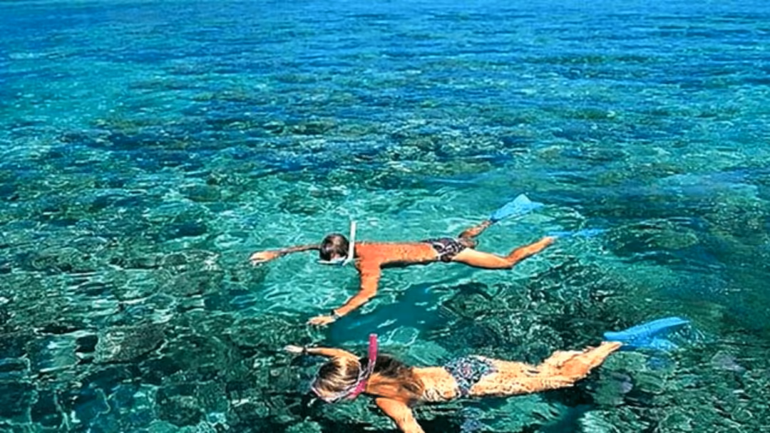Cham Island Day Tour from Da Nang/Hoi An - All-inclusive Snorkeling